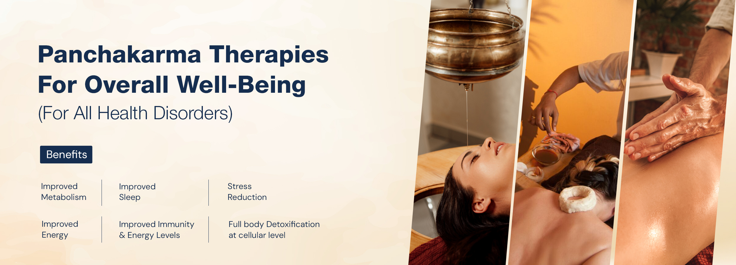 Panchakarma Therapies