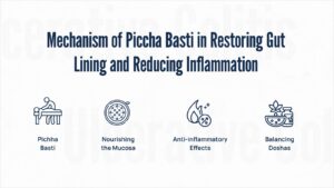 Mechanism of piccha basti